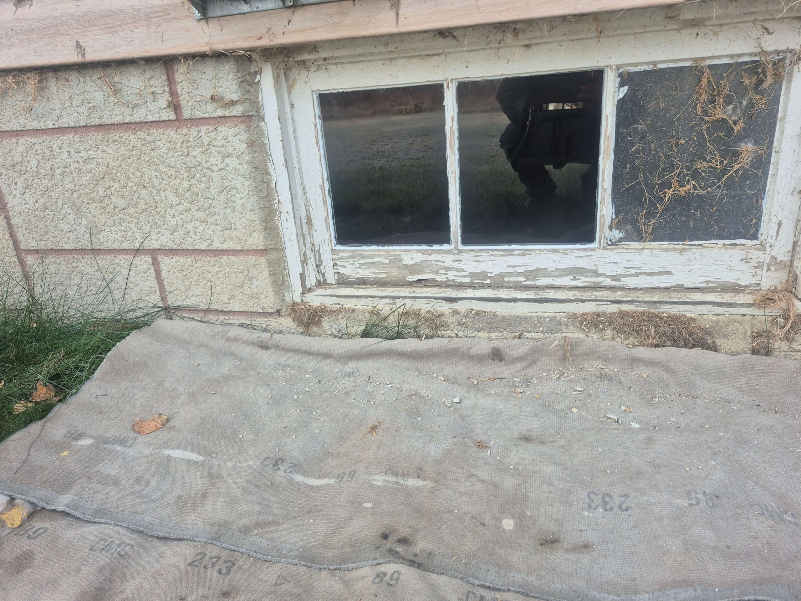 Glass services